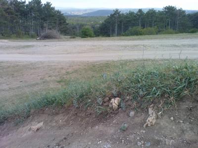 Прикрепленное изображение: DSC00338.JPG